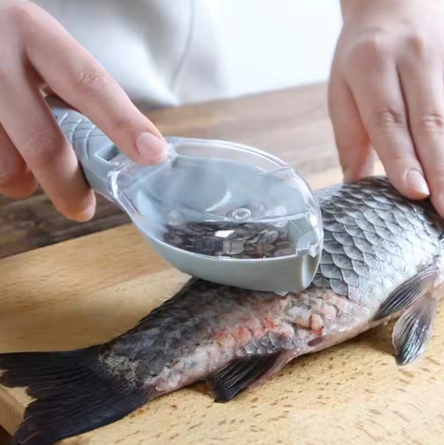 Fish scale